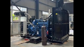 200KW 250KVA LPG Generator [upl. by Dodwell]