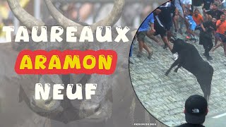 ARAMON Bandido Taureaux Neuf 303108amp01092024 🔥 [upl. by Wane346]