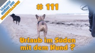 TGH 111  Urlaub mit Hund im Süden  Hundeschule Stadtfelle [upl. by Urata]