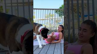 Trying to Workout But My Dog Has Other Plans 🤣 dogs dogfunny funnydogs fitness homeworkout [upl. by Aineles901]