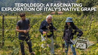 Foradori Winery Travel Italy Italian Wine Podcasts On the Road Edition with Stevie Kim [upl. by Imugem890]