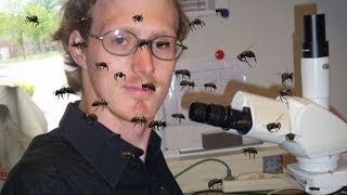 Scientist Lets Bees Sting His Private Parts For Experiment [upl. by Ysiad]