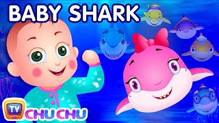 Baby Shark Song  Sing and Dance  Animal Songs for Children  ChuChu TV Nursery Rhymes amp Kids Songs [upl. by Gerlac]