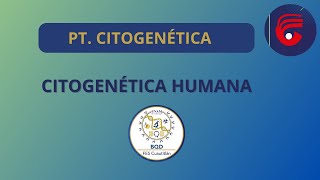 PT CITOGENÉTICA HUMANA [upl. by Cheffetz678]