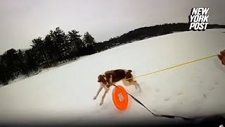 Dog Helps Rescue Owner From Frozen Michigan Lake [upl. by Zed]