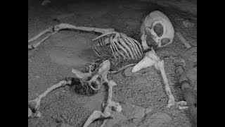 Alien Classified Footage in 1969  Discovery of Extraterrestrial Skeleton [upl. by Lyret171]