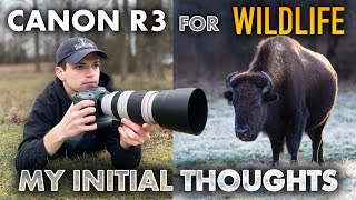 Testing the Canon R3 for Wildlife Photography  WILDLIFE PHOTOGRAPHY VLOG [upl. by Bergquist]