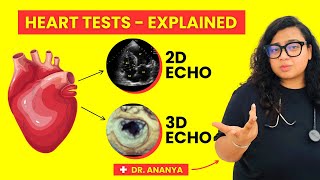 2D vs 3D Echo Test Explained  Heart Echocardiogram Tests [upl. by Sualohcin961]