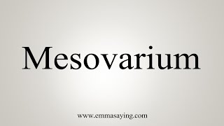 How To Say Mesovarium [upl. by Heydon555]