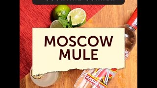 Traditional Moscow Mule Cocktail Recipe [upl. by Wyon]