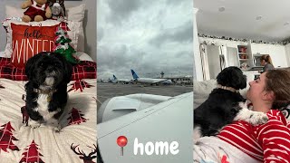 home for the holidays  vlogmas day 20 [upl. by Tannenwald53]