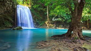 Relaxing Music • Calm the Mind Stop Thinking Zen Piano Music to Relax  YouTube Music [upl. by Jere984]