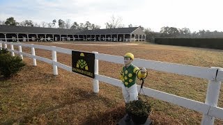 Augusta Outdoors Horse Racing in Aiken South Carolina and Cot Campbell [upl. by Bentley]