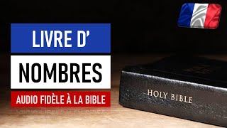 NOMBRES  BIBLE AUDIO  Ancien Testament [upl. by Kalvin]