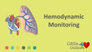 Hemodynamic monitoring  Little Criticos [upl. by Karp796]