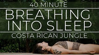 Breathing into Sleep Meditation [upl. by Gerstein184]