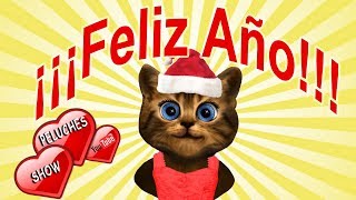 feliz año nuevo  gato dando mensaje de año nuevo  reflexiones  mis deseos para ti  whatsapp [upl. by Seymour873]