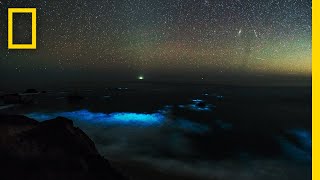 See a Glowing Plankton Bloom in Californias Big Sur  National Geographic [upl. by Silvester]