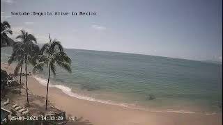 LIVE WEBCAM  Puerto Vallarta  Playa Punta Negra [upl. by Lauraine]