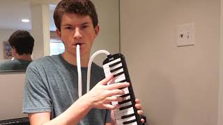 what different people want me to play on the melodica [upl. by Ayikat]