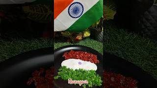 Happy independence daydeshrangilarangilafanaa shorts youtubeshorts youtube ytshorts Aamirkhan [upl. by Hum]