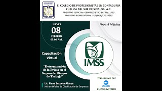 Determinación de la Prima en el Seguro de Riesgos de Trabajo IMSS [upl. by Aehsan]