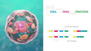 Transcriptomics 1 Introduction to RNASeq bioinformatics analysis of gene and isoform expression [upl. by Grenville]