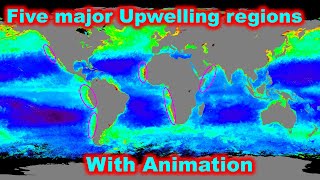 Ocean Upwelling regions in the world detailed explanation with Animation for UPSC [upl. by Nevet]