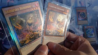 4K Collectors Rare vs Ultimate Rare Which looks better Comparing YuGiOh Rarity Collection [upl. by Ylrehs]