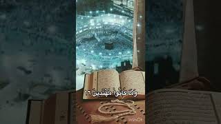 Sourate al baqara verset 14 à 17 allah citation coran quran quranrecitation [upl. by Marl]