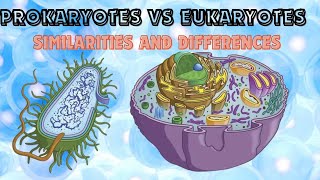 Similarities and Differences between prokaryotic and eukaryotic cells [upl. by Nodyroc408]