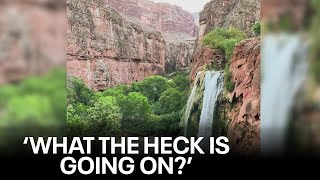 Dozens report illness after visiting Havasupai Falls [upl. by Beaulieu]