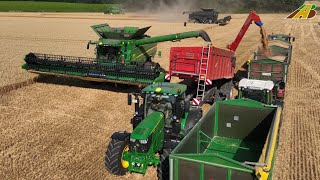 Großeinsatz Weizenernte 2022  4 Mähdrescher Fendt Claas JD Traktoren Landwirtschaft Wheat Harvest [upl. by Thomsen]