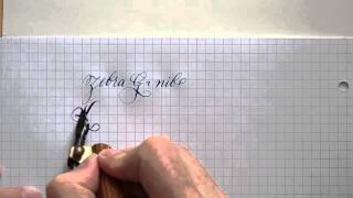 1 Zebra Gnib Brause Steno 361 nib writing [upl. by Ahseinaj]