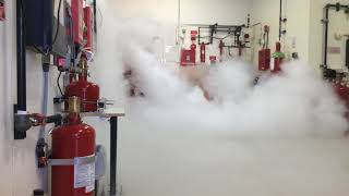 CO2 Fire Suppression System Discharge at Koorsen Training Center [upl. by Mada]