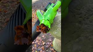 How to Vacuum Wet Leaves Without Jamming Your Blower Vac [upl. by Mullen]