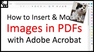 How to Insert and Modify Images in PDFs with Adobe Acrobat [upl. by Noyk]