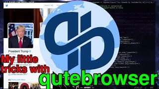 qutebrowser  All the Cool Kids should try it [upl. by Anec]