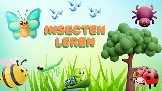 Ontdek de wereld van insecten🦋 Leer alles over insecten🐞Nederlands 🐌Peuters en Kleuters [upl. by Mayce660]