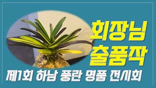 제1회 하남 풍란 명품전시회에서 만나본 회장님의 출품작 공개 [upl. by Ahcsim]