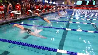 Women’s 50y Free E Final  2019 NCSA Spring Swimming Champs [upl. by Cadmann804]