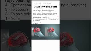 Glasgow Coma Scale [upl. by Ahseken696]