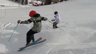 Teaching Skills for All Mountain Skiing [upl. by Einalem]