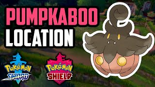 How to Catch Pumpkaboo  Pokemon Sword amp Shield [upl. by Enorel]