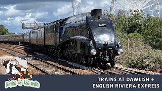 Trains at Dawlish  English Riviera Express  6th July 2024 [upl. by Ydnys]