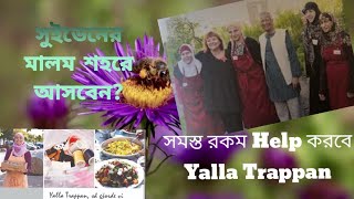 সুইডেনের মালম শহরে আসলে এই video টি আপনার জন্য [upl. by Enalahs45]