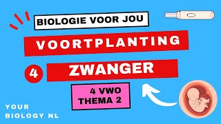 4 vwo  Voortplanting  4  Zwanger [upl. by Yirinec]