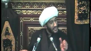 Sh Jaffer Ladak  Commentary of Ziyarat WarithaImam Husayn Inheritor of Prophet Musa [upl. by Blood661]