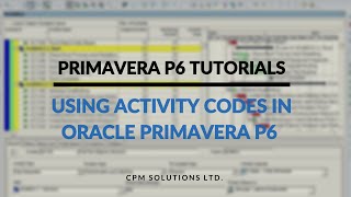 Primavera P6 Tutorial 1  Using Activity Codes in Oracle Primavera P6 [upl. by Yancey370]