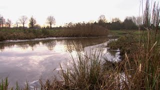 Nieuwe regisseurs voor natuurontwikkeling  de praktijk in het Markdal [upl. by Oran820]